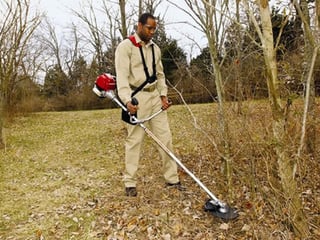 Image of Brushcutter