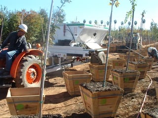 Image of Pro Tender 600