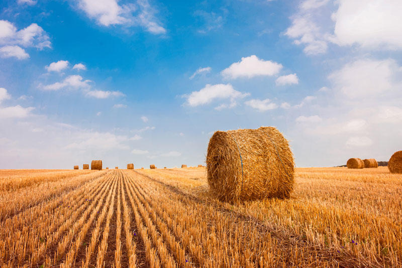Preparing Your Combine for Storage