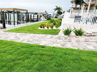 Tampa Sod Which Type is Right for You