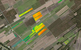 Sugar cane field yield map