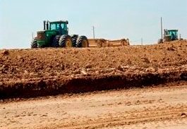 Levee construction