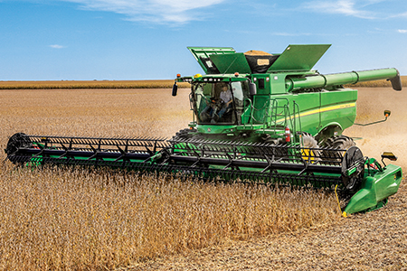 Harvesting in beans