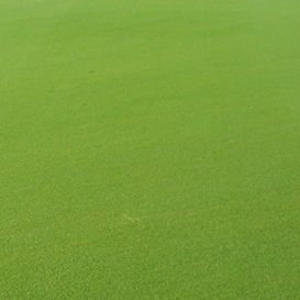 Reduction of overlap marks - paspalum fairway