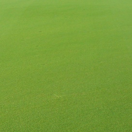 Reduction of overlap marks - paspalum fairway