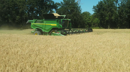 X9 1000 harvesting in rice