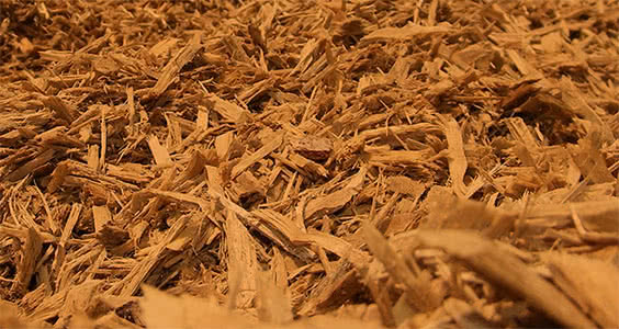 Mulch in Homestead