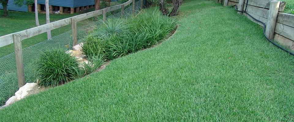 How Much Does Zoysia Grass Sod Cost Turfgrass Establishment For Texas How Much Does Zoysia Grass Sod Cost Turfgrass Establishment For Texas