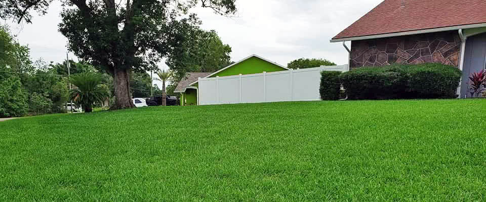 ProVista St Augustine