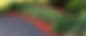 Red Mulch