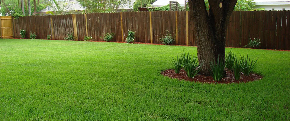 St Augustine Floratam