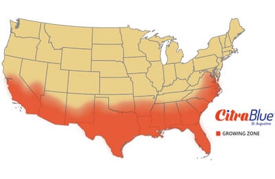 citrablue growing zones