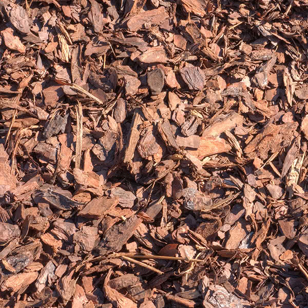 Image of Red pine mini bark mulch