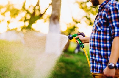 watering fresh new sod