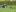 Krone KWT 7.82/6X7 Product Image