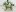 Krone KW 7.82 T Product Image