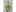 Krone Swardo 35 Product Image