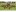 Rhino Ag Equipment RDF12 Product Image