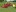 Progressive Turf Equipment Inc TD65B Product Image