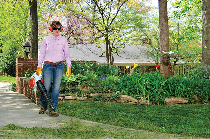Alternate Image of STIHL BG 66 L Professional Blower