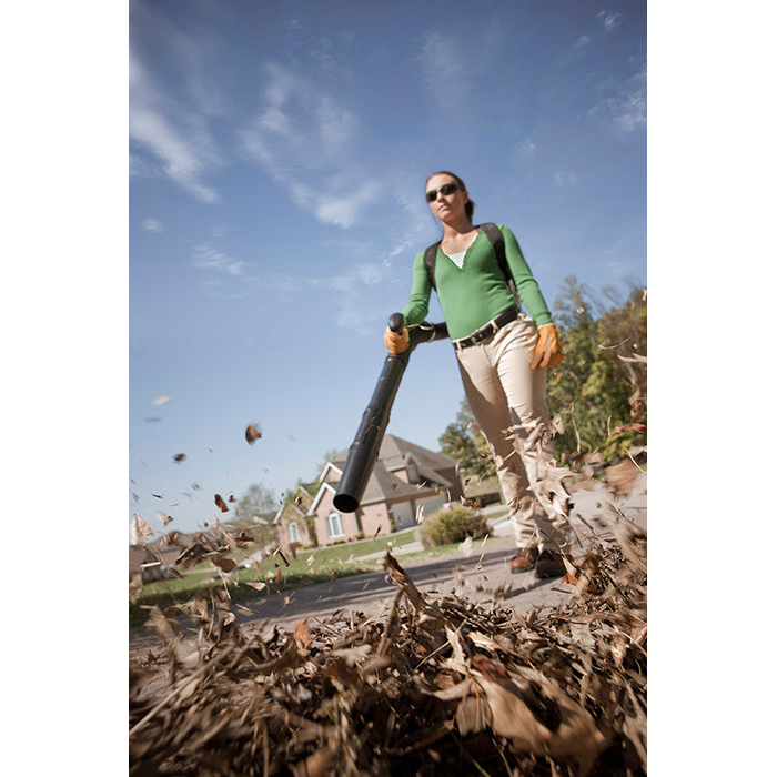 Alternate Image of STIHL BR 200 Homeowner Blower