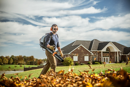 Alternate Image of STIHL BR 450 Professional Blower