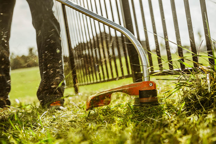 Alternate Image of STIHL FS 50 C-E Homeowner Trimmer