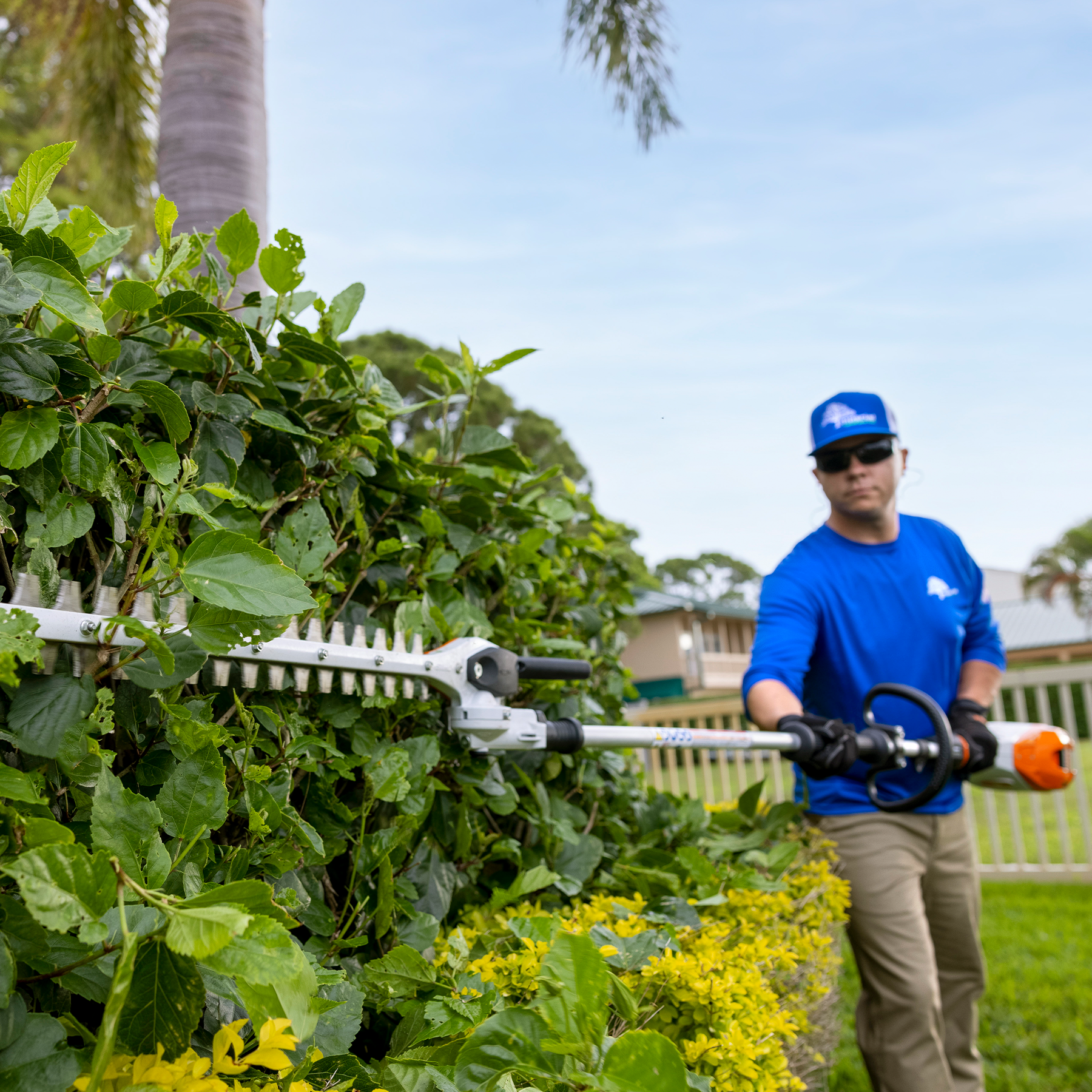 Alternate Image of STIHL HLA 135 (145°) Battery Hedge Trimmer