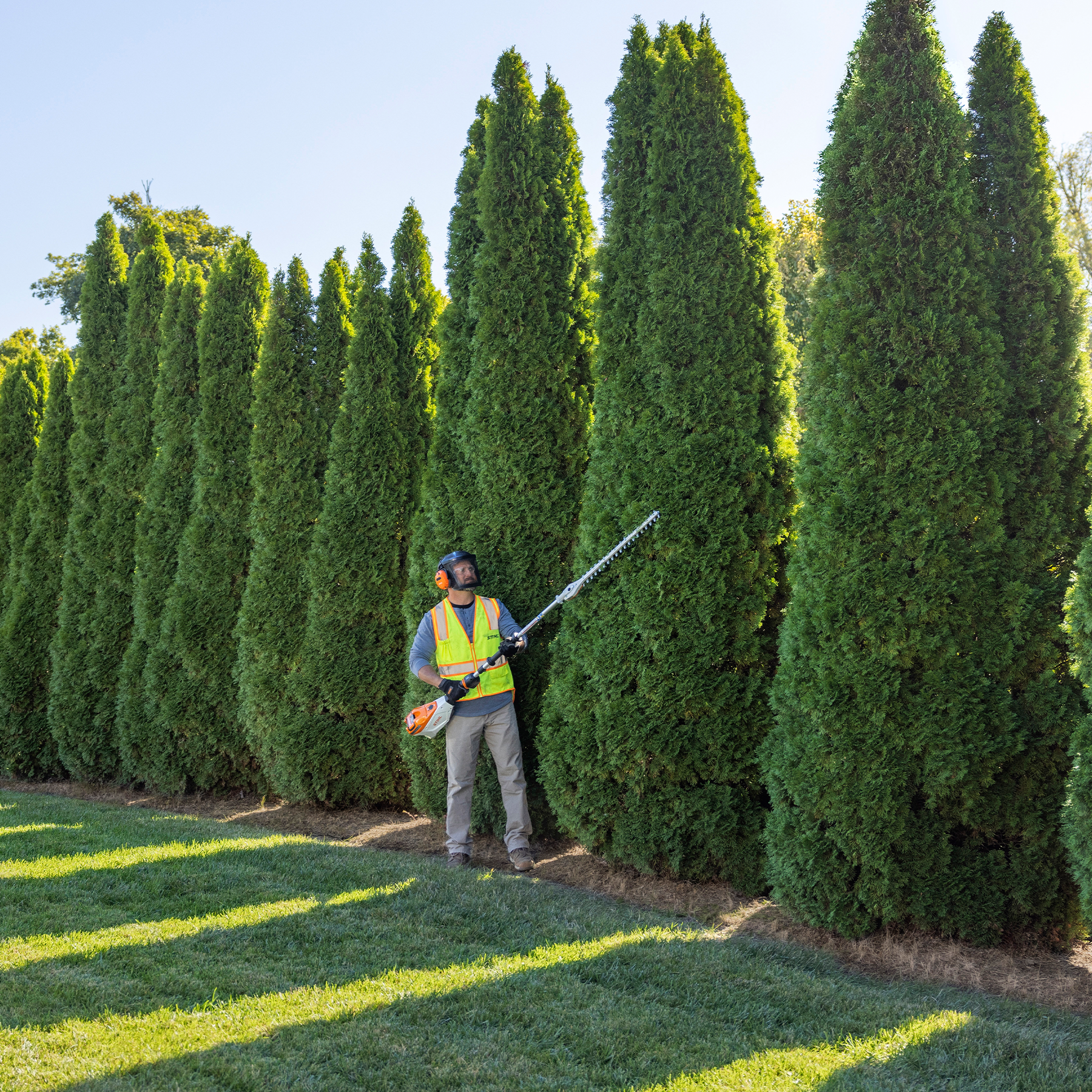 Alternate Image of STIHL HLA 135 K (0°) Battery Hedge Trimmer