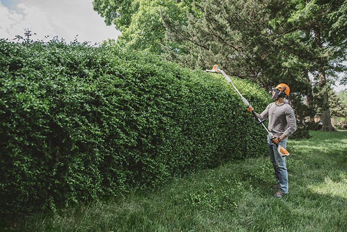 Alternate Image of STIHL HLA 56 Battery Hedge Trimmer