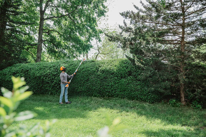 Alternate Image of STIHL HLA 56 Battery Hedge Trimmer