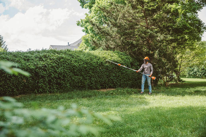 Alternate Image of STIHL HLA 56 Battery Hedge Trimmer