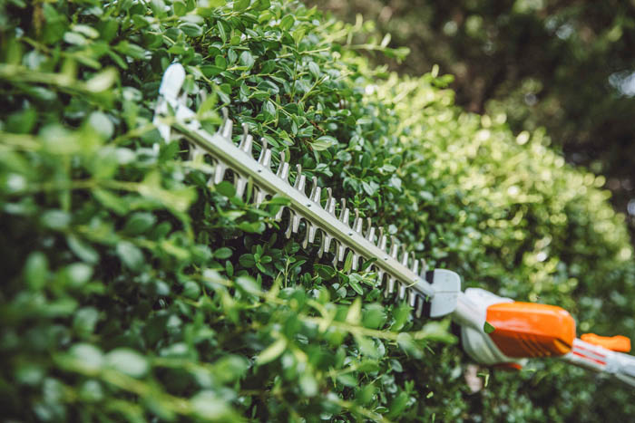 Alternate Image of STIHL HLA 56 Battery Hedge Trimmer