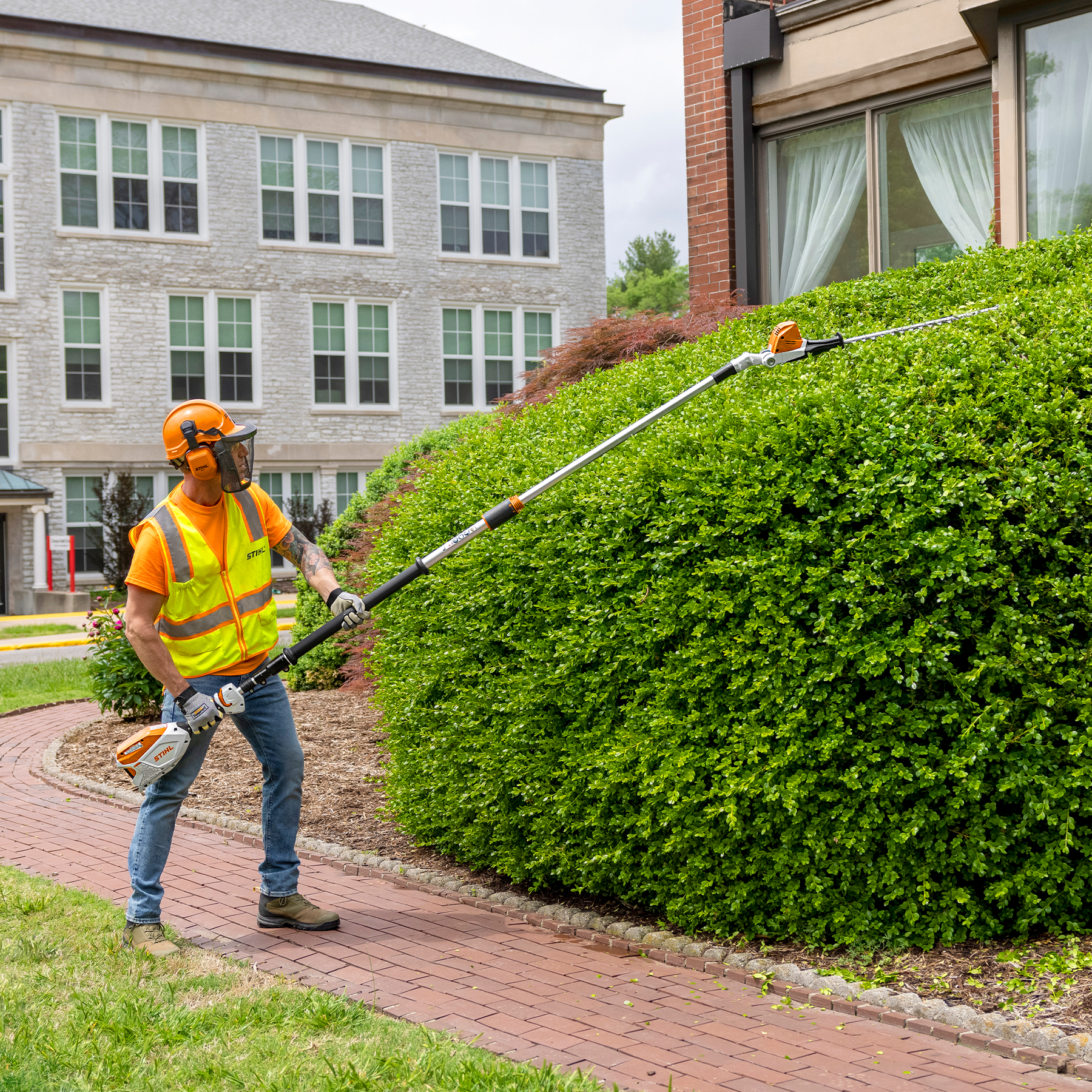 Alternate Image of STIHL HLA 86 Battery Hedge Trimmer