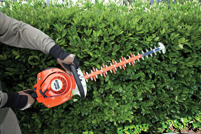 Alternate Image of STIHL HS 56 Professional Hedge Trimmer