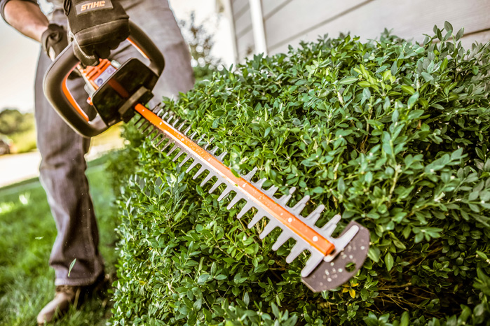 Alternate Image of STIHL HSA 45 Battery Hedge Trimmer