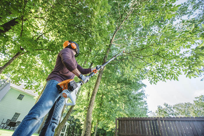 Alternate Image of STIHL HT 105 Professional Pole Pruner