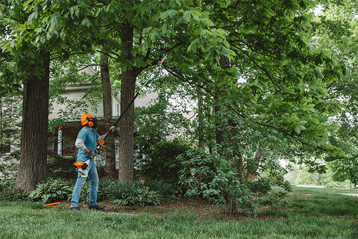 Alternate Image of STIHL HT 131 Professional Pole Pruner