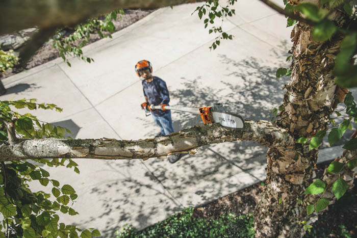 Alternate Image of STIHL HT 135 Professional Pole Pruner