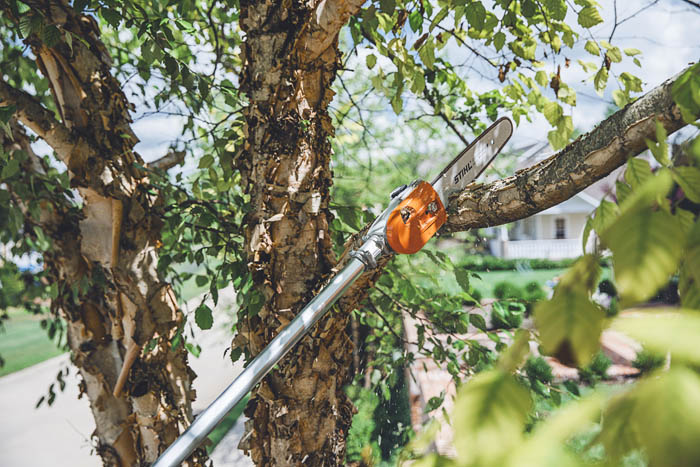 Alternate Image of STIHL HT 135 Professional Pole Pruner