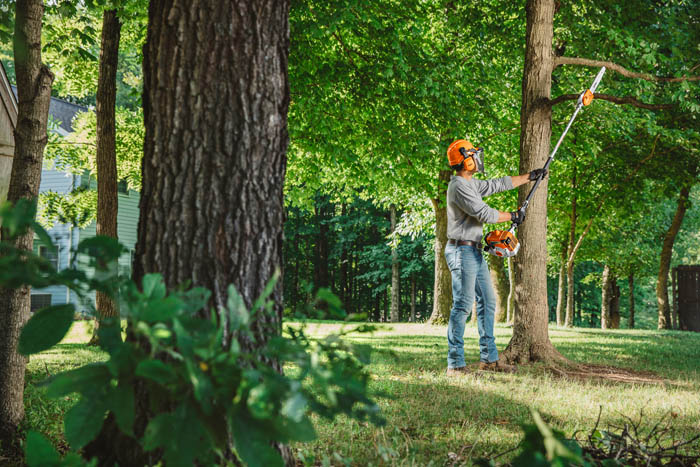Alternate Image of STIHL HT 250 Professional Pole Pruner