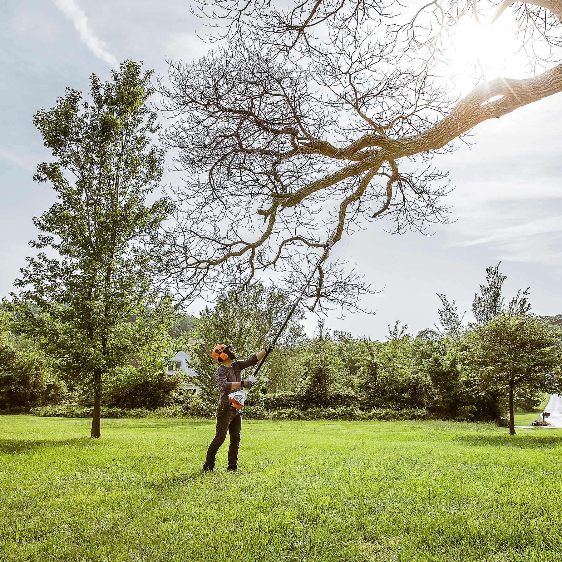 Alternate Image of STIHL HT 56 C-E Homeowner Pole Pruner