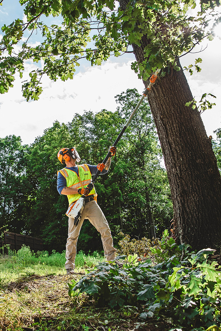Alternate Image of STIHL HTA 135 Battery Pole Pruner