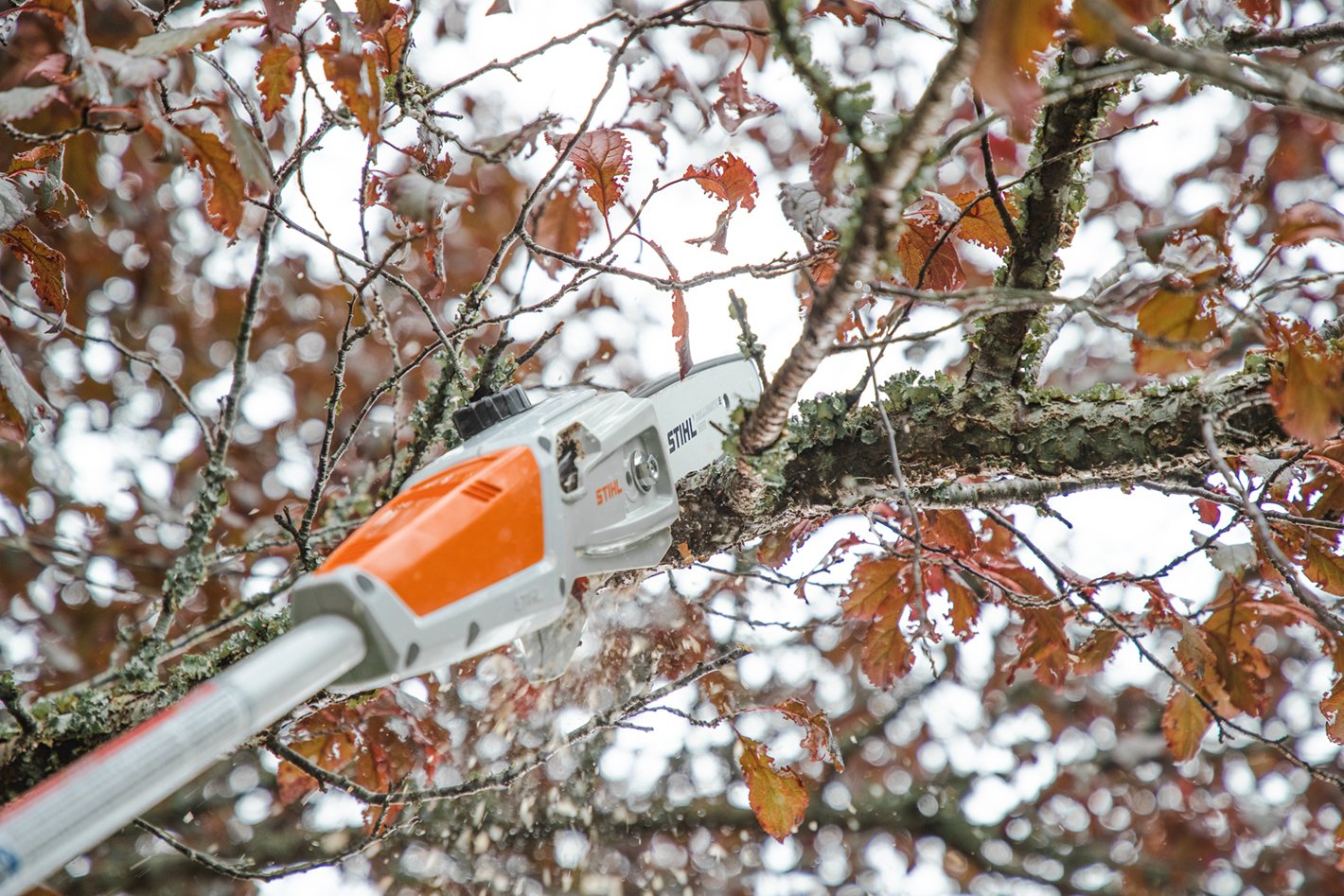 Alternate Image of STIHL HTA 50 Battery Pole Pruner