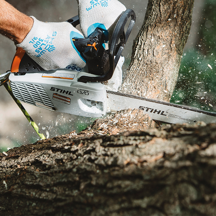 Alternate Image of STIHL MS 151 T C-E In-Tree Saw