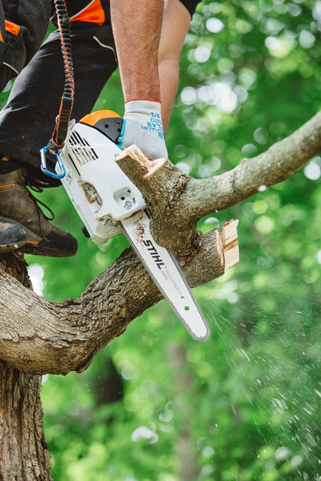 Alternate Image of STIHL MS 151 T C-E In-Tree Saw