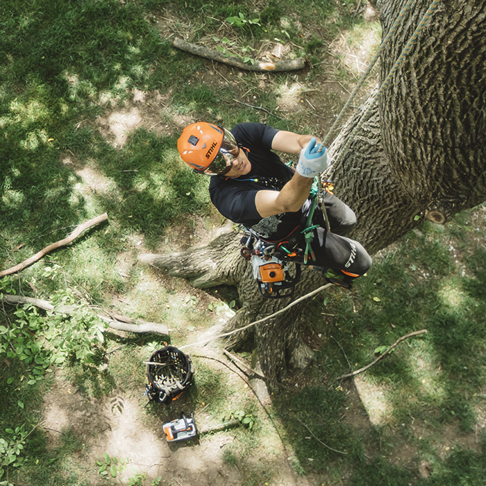 Alternate Image of STIHL MS 194 T In-Tree Saw