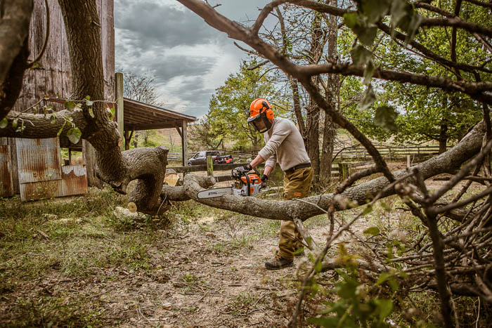 Alternate Image of STIHL MS 261 C-M Gas Chainsaw Professional Saw