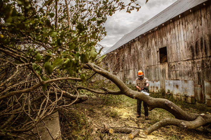 Alternate Image of STIHL MS 362 Professional Saw