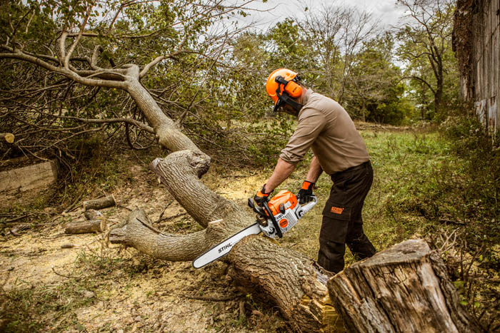 Alternate Image of STIHL MS 362 C-M Professional Saw
